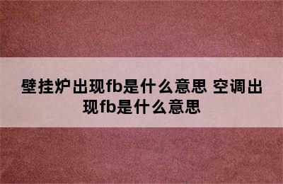 壁挂炉出现fb是什么意思 空调出现fb是什么意思